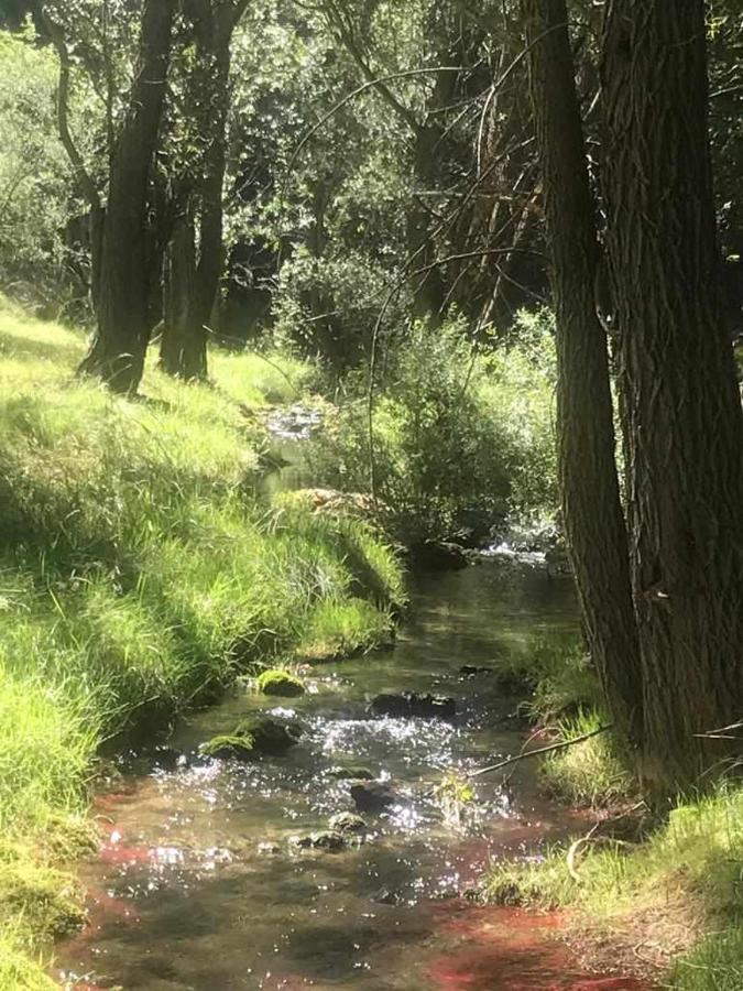 Apartamentos El Mirador Villarroya de los Pinares Eksteriør bilde